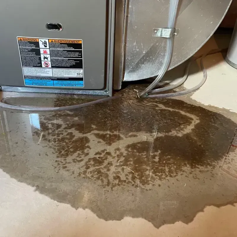 Appliance Leak Cleanup in Mellette County, SD